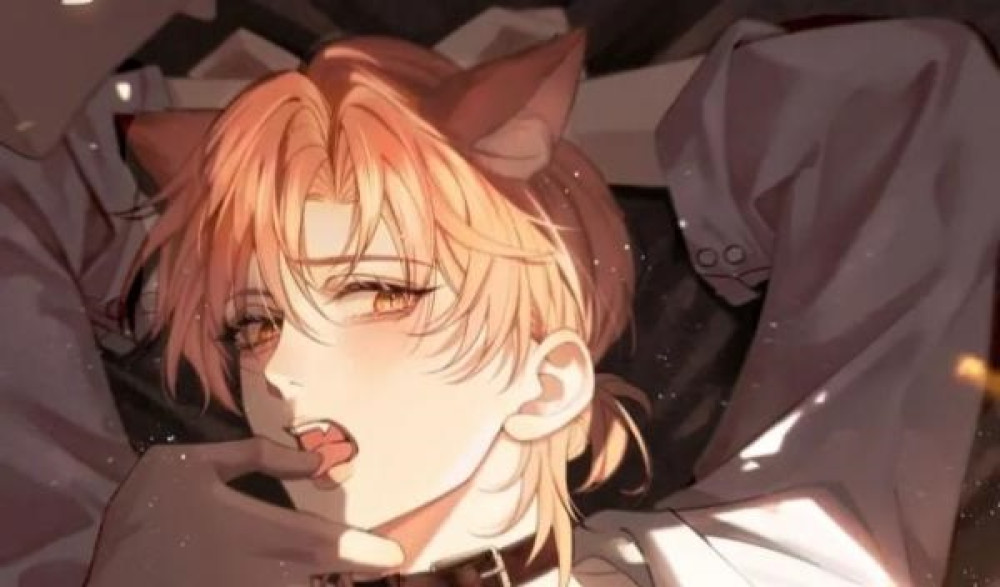 Baca Komik Manhwa Kucing Kecilku