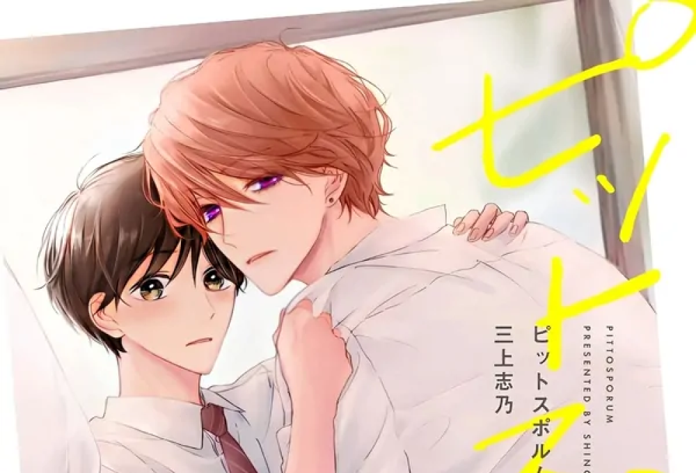 Baca Komik Manga Pittosporum