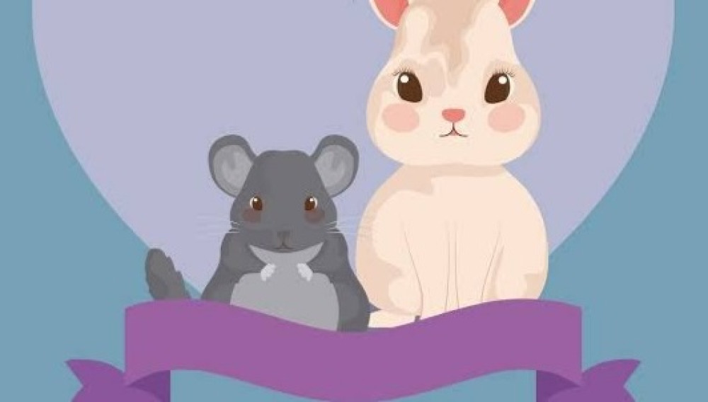 Baca Komik Manhua Hamster Dan Kelinci