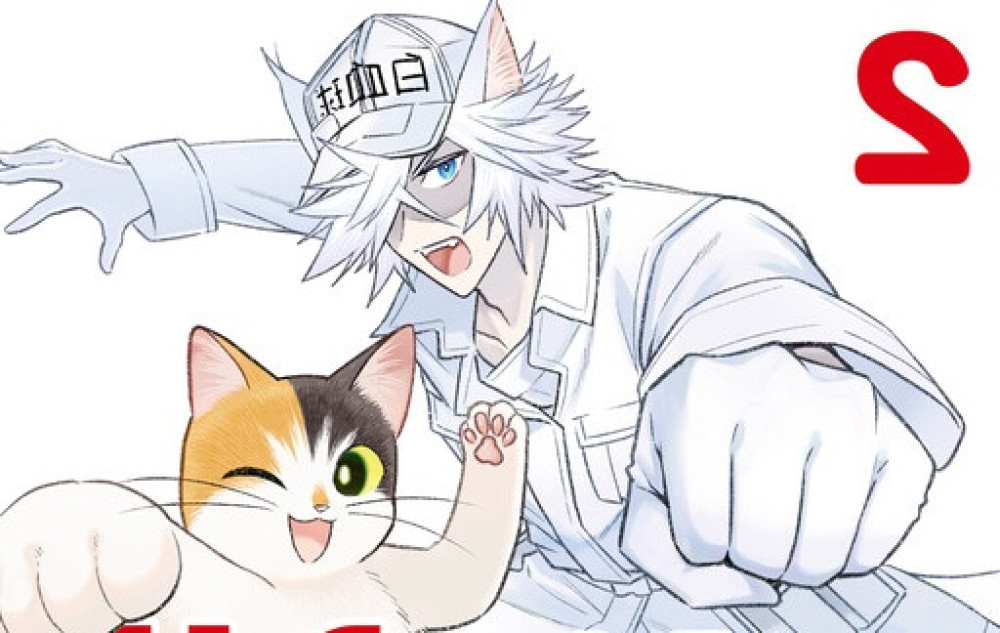 Baca Manga Sel di Tempat Kerja! Kucing