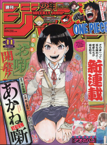 Cerita Akane