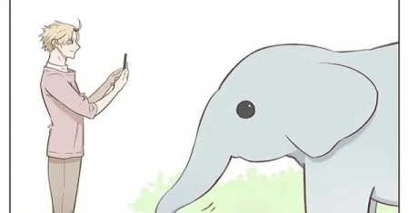 Gajah Mungil Mencintaimu