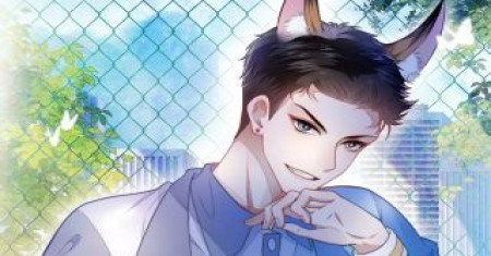 Kucing Liar Kecil Siswa Kehormatan